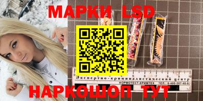 мдпв Гатчина