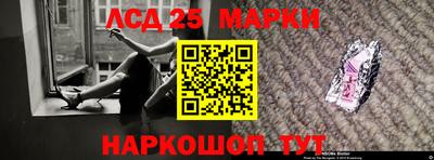 мдпв Гатчина