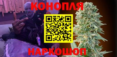 мдпв Гатчина