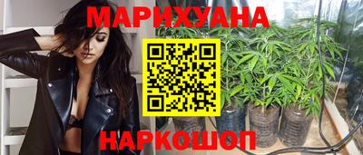мдпв Гатчина