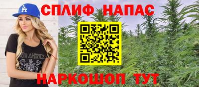 мдпв Гатчина