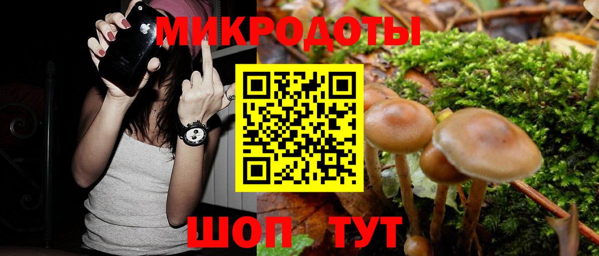 Псилоцибиновые грибы Cubensis  Вход с VPN  Буйнакск 
