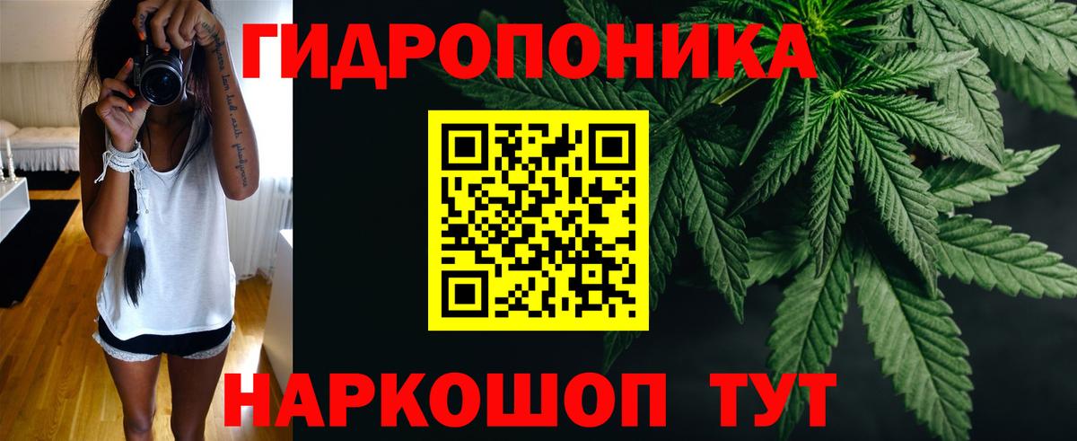 Шишки марихуана сатива Буйнакск